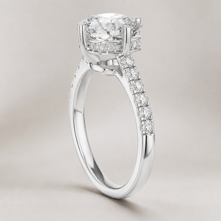 A silver-toned diamond ring with a round-cut center stone, a halo of smaller diamonds, and a pavé-set shank, shown on a neutral light gray background.